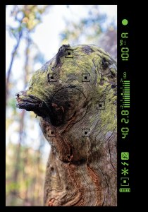 Log_lowvpoint_lrgap_35mm