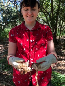 Snake skin find - 11 May 2019