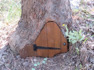 Fairy Home found in forest