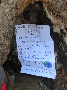 Fairys for Climate Change Action