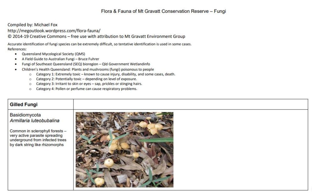 Flora and Fauna - Fungi