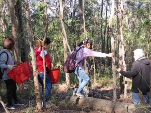 Going bush - 20 July 2019