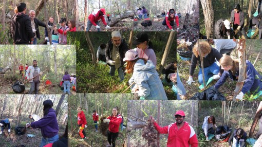 Griffith Mates - 20 July 2019