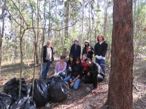 Weeds bagged for removal - 20 July 2019