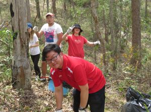 Weed Busters - 9 Nov 2019