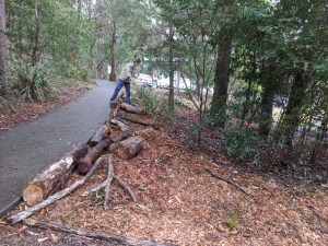 Logs Gertrute Petty Place - 25 July 2020